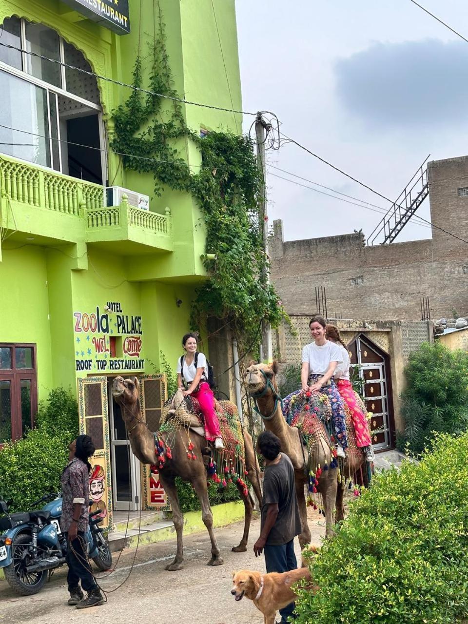 Hotel Zoola Palace Pushkar Dış mekan fotoğraf
